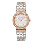 Ladies DKNY Watch (DK1L083M0105)