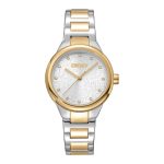 Ladies DKNY Watch (DK1L110M0075)